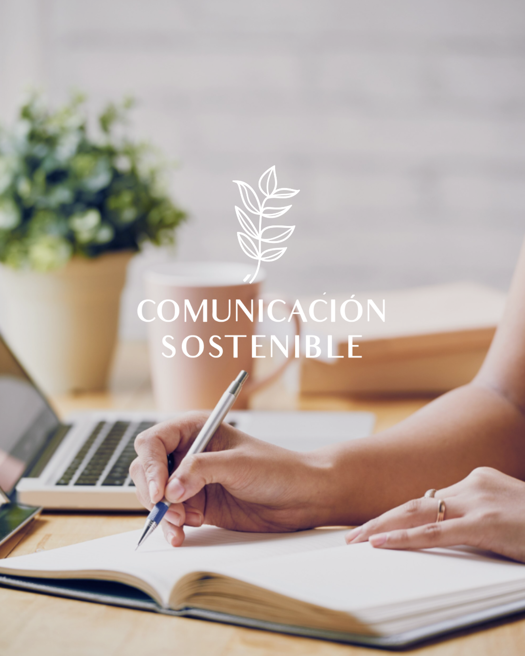 cominicacion sostenible